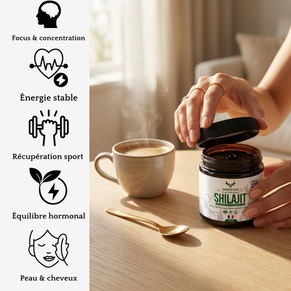 Shilajit ZENITH Pur de l’Himalaya