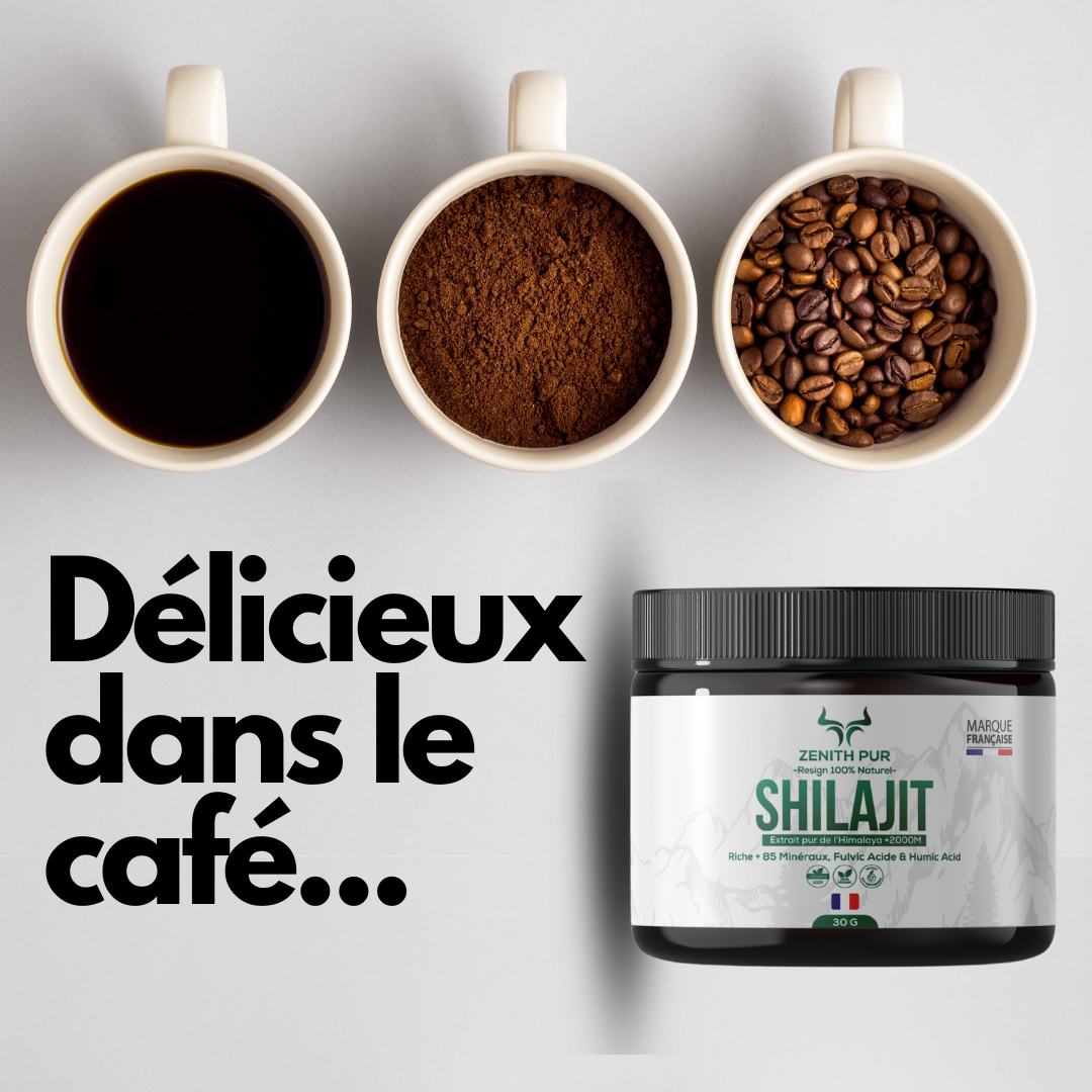 Shilajit ZENITH Pur de l’Himalaya