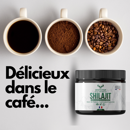 Shilajit ZENITH Pur de l’Himalaya