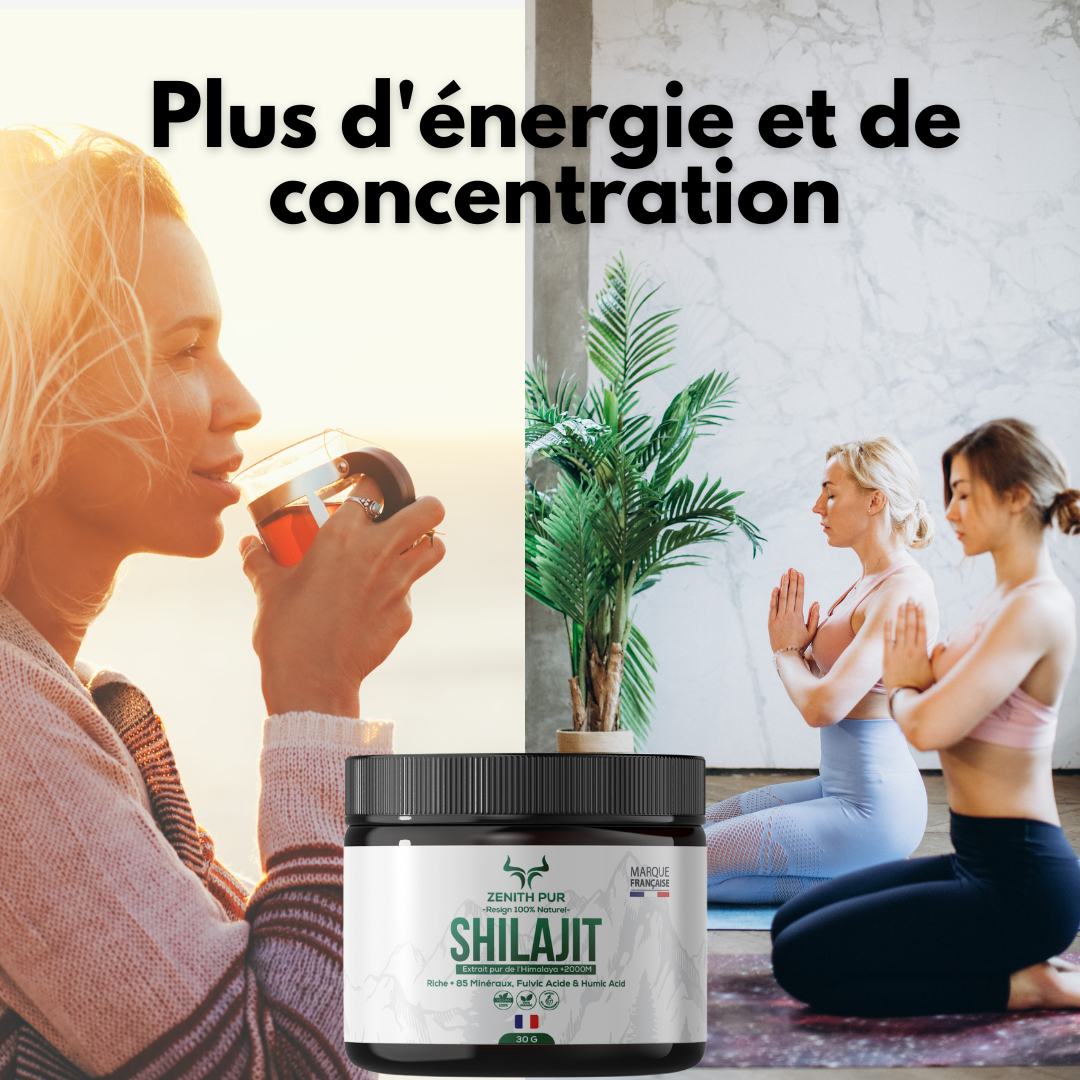 Shilajit ZENITH Pur de l’Himalaya